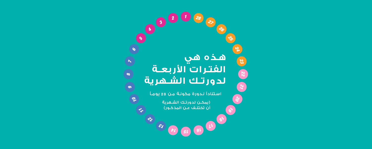 المراحل الأربع للدورة الشهرية